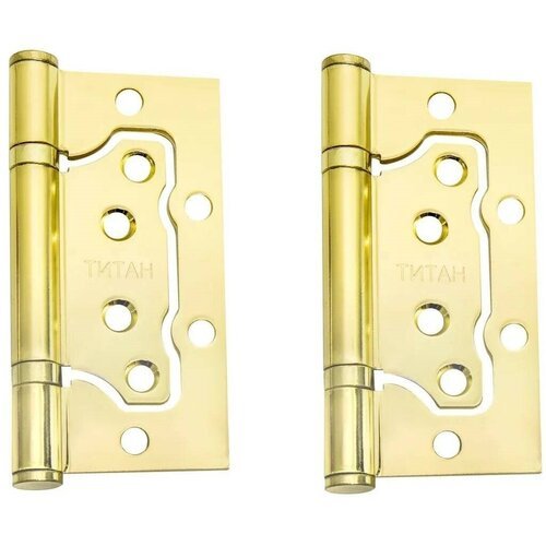 Петли дверные (2 шт) Титан 100x75x2.5 мм PB Золото (без вреза, накладные на левые и правые двери)