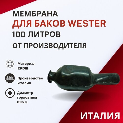 Мембрана Wester 100 литров (membrWester100)
