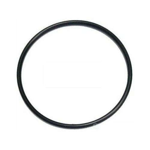 Уплотнительное кольцо (прокладка) для фильтров Ecovita Big Blue (BB)