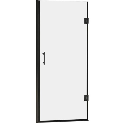 Душевая дверь RGW Passage PA-06B (700х1950) распашная, стекло 6мм прозрачное/черный 41080607-14